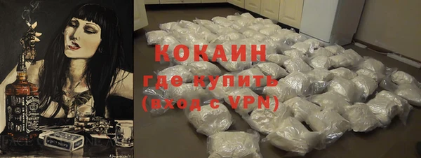 крисы Баксан