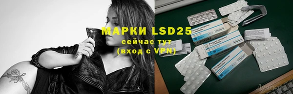 крисы Баксан