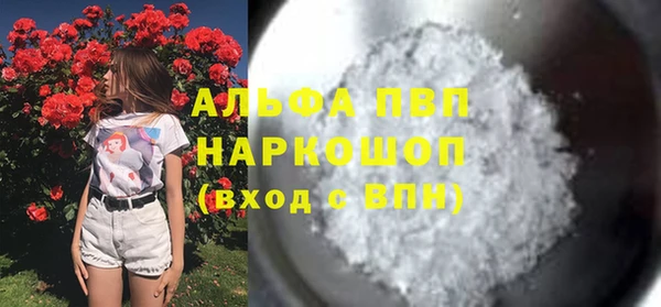 крисы Баксан