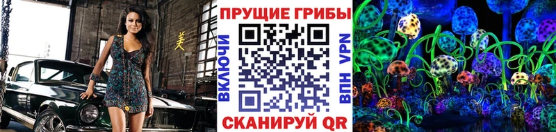 Псилоцибиновые грибы Psilocybine cubensis  Ясногорск 