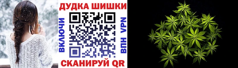 Марихуана AK-47  цены наркотик  МЕГА вход  Ясногорск 